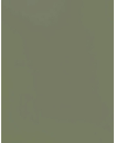 Z-Series Sage Green Satin